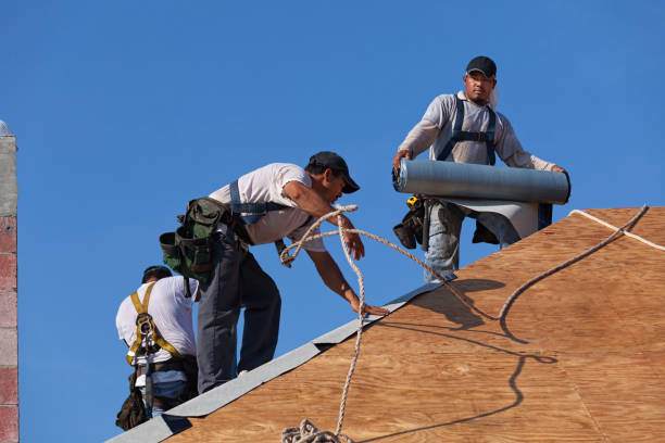 Best Residential Roofing Contractor  in Venice Gardens, FL